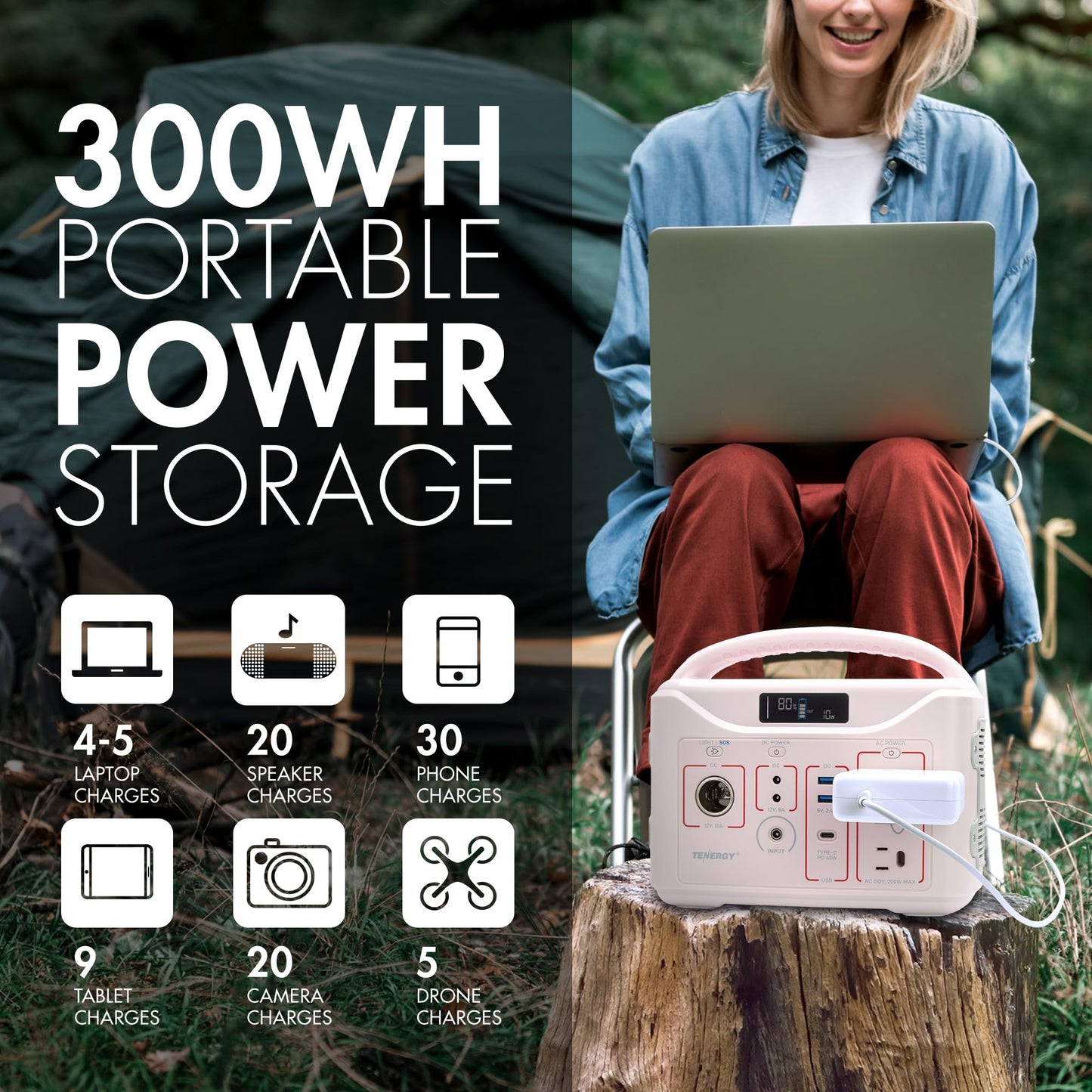Tenergy T320 Portable Power Station, 300Wh Battery, 110V/200W (Surge 400W) Two Pure Sine Wave Ac Outputs, Usb Type C Pd 45W, Mob