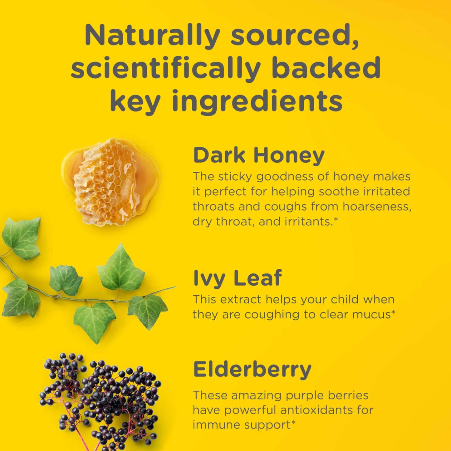 Zarbee's Children’s Honey Cough Syrup + Mucus Day & Night Value Pack, Daytime & Nighttime Toddler Cough Syrup, Dark Honey, Ivy Leaf Extract, Chamomile, Mixed Berry Flavor, 2X 4 Fl Oz