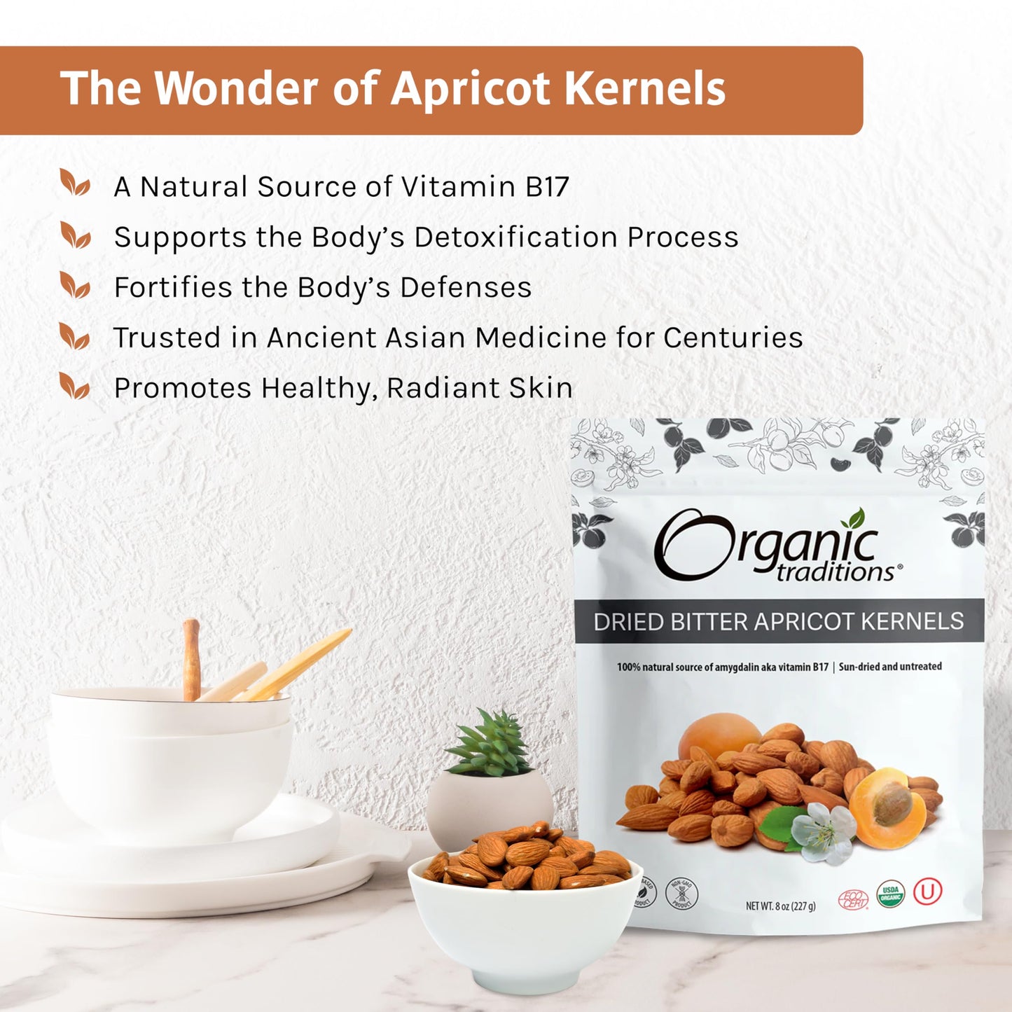 Organic Traditions Apricot Kernels – Sundried - Natural Source of Vitamin B17 - Sweet & Bitter Raw Apricot Seeds - 8oz