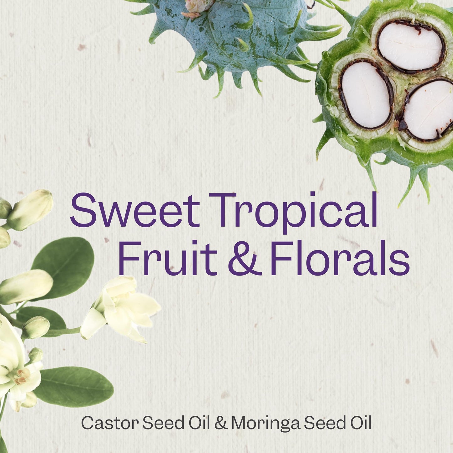 Renpure Castor Oil & Moringa Curl Enhancing Conditioner - For Moisturized, Detangled & Frizz-Free Curls - With Castor Oil & Mori