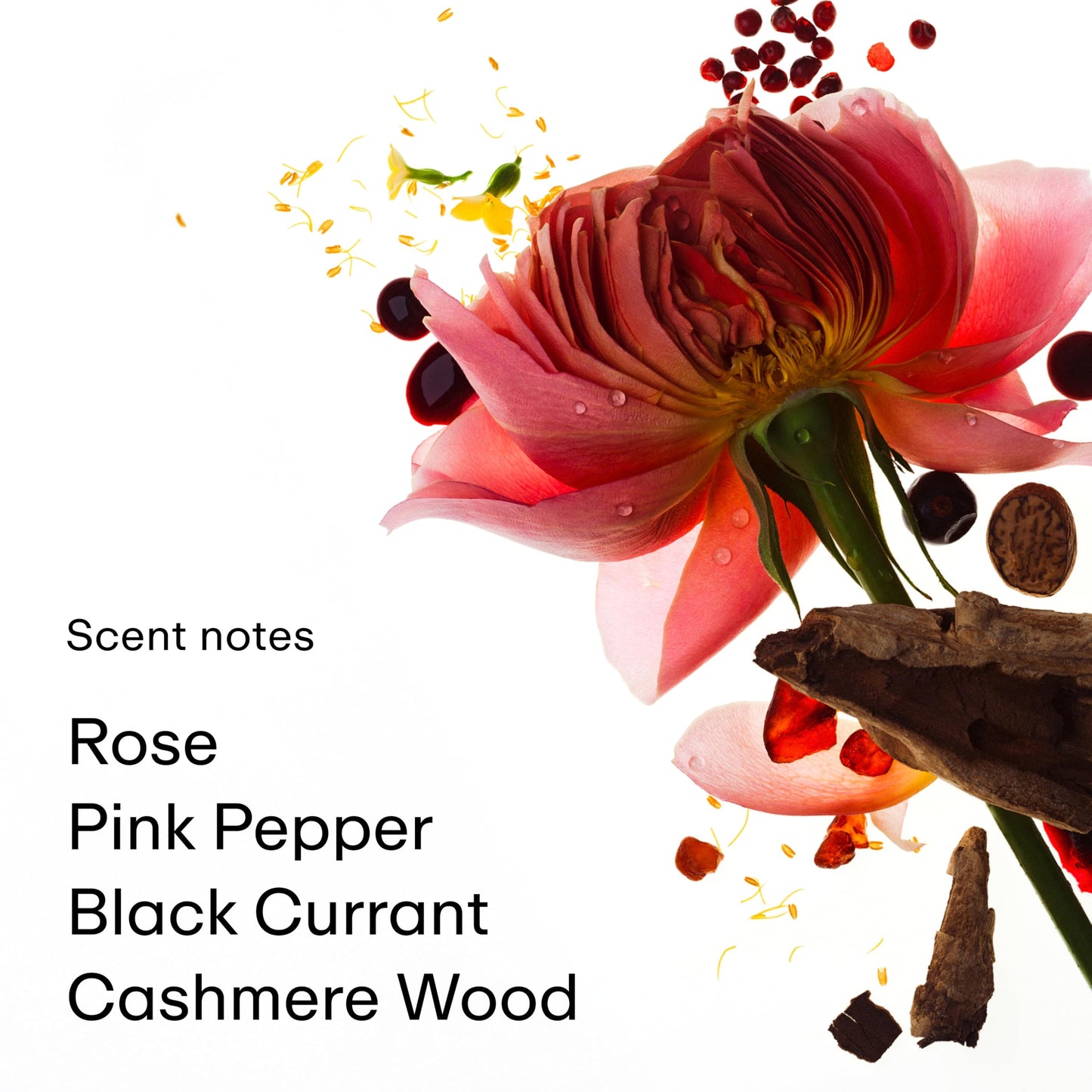PHLUR Rose Whip Eau de Parfum - Full Size Perfume - Fruity Floral Perfume with Rose, Black Currant, Pink Pepper, Nutmeg, Cashmer