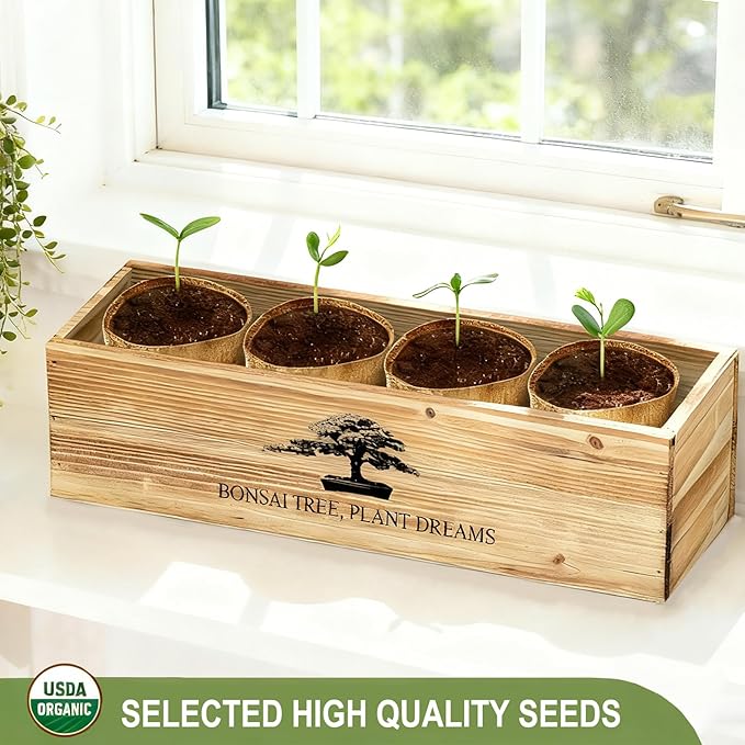 Bonsai Tree Starter Kit for Beginners - Indoor Live Plant Gardening Adult Craft DIY Kits - Unique Christmas, Birthday, White Elephant Gifts for Women, Men & Kids