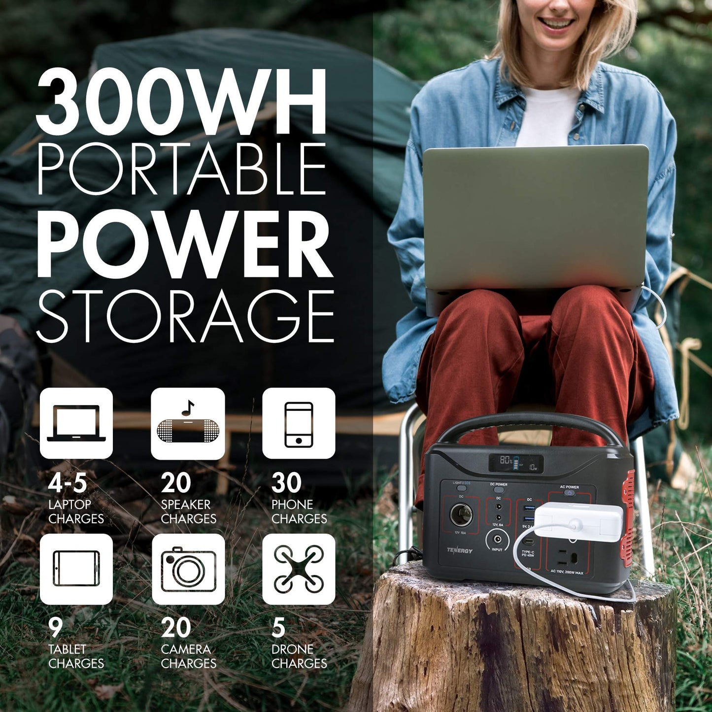 Tenergy T320 Portable Power Station, 300Wh Battery, 110V/200W (Surge 400W) Two Pure Sine Wave Ac Outputs, Usb Type C Pd 45W, Sol
