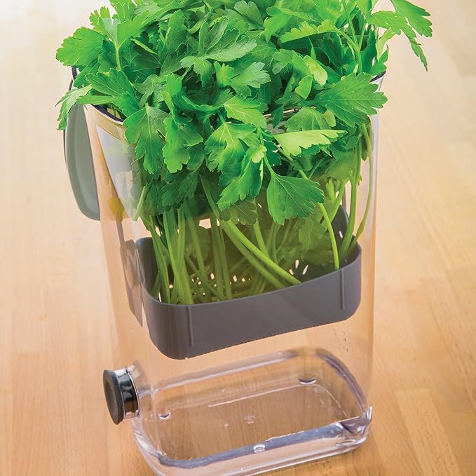 ProKeeper Herb Keeper – White, with Removable Silicone Drain Plug, BPA-Free Plastic