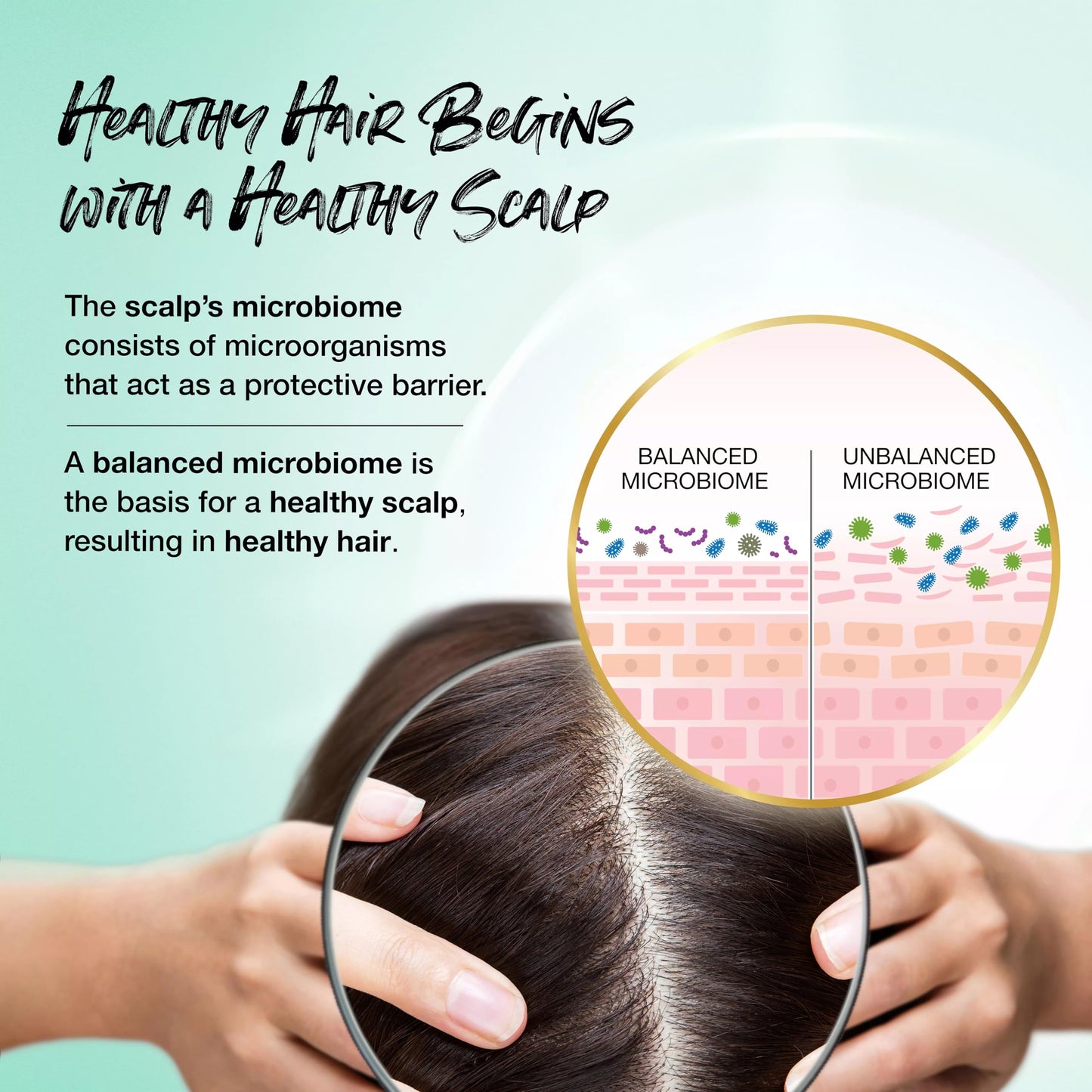 Biotera Color Care Shampoo | Extends & Maintains Color-Treated Hair | Microbiome Friendly | Vegan & Animal Test Free | Paraben F