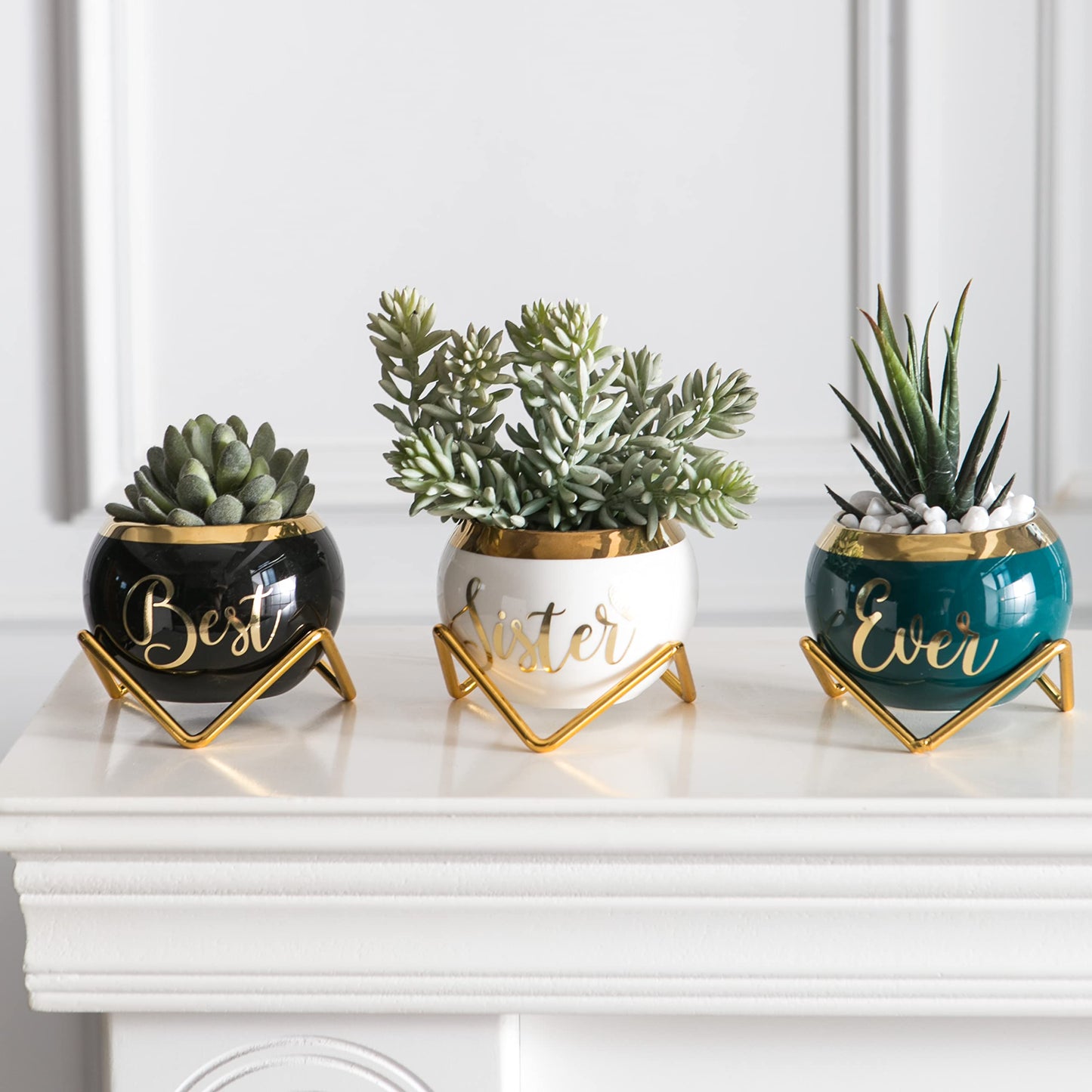 Sister Birthday Gifts for Women from Sisters, Mothers Day Gifts for Sisters from Sisters Adult, Cool Gifts for Adult Sister, Gift for Women Friend, Little Sister Gifts, Succulent Pot Gifts for Ladies
