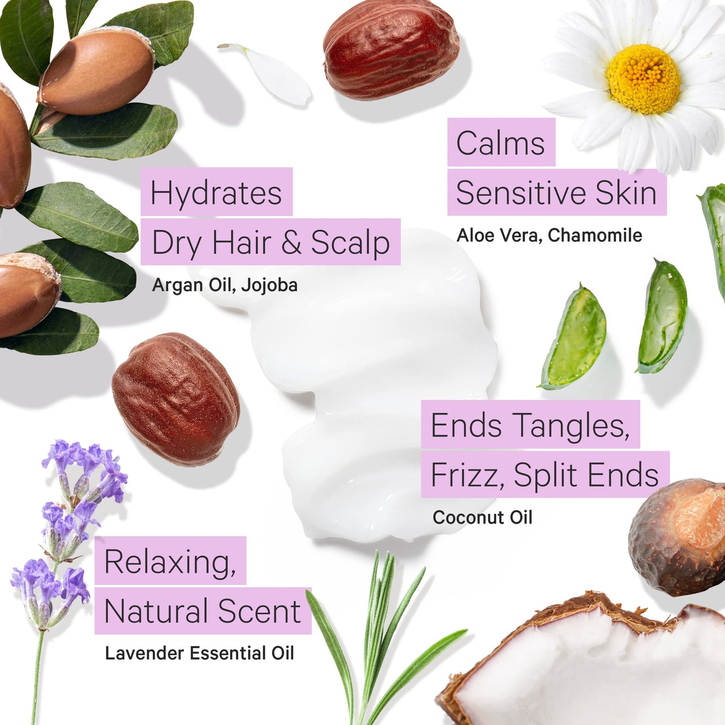 Tree to Tub Moisturizing Conditioner for Dry Hair & Dry Scalp - Hydrating Sulfate Free Argan Oil Conditioner & Vegan Hair Moistu
