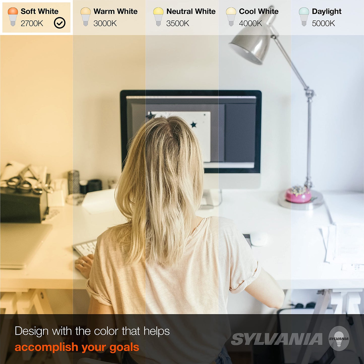 LEDVANCE Sylvania LED A19 Light Bulb, 60W Equivalent, Efficient 8.5W, 10 Year, 2700K, 800 Lumens, Frosted, Soft White (74765), Packaging May Vary (Pack of 1, 24 Count Total)