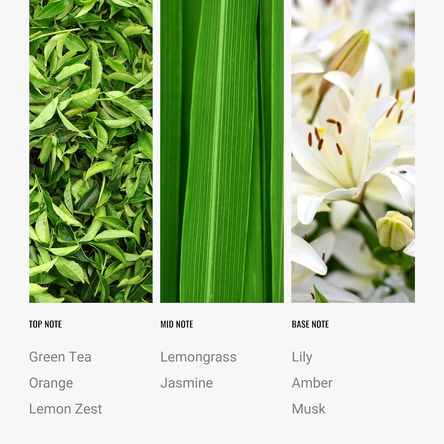 Hotel Collection | California Love Fragrance Oil Blend | Hotel Inspired Luxury Essential Oil Diffuser | Aromatherapy Scent Diffuser Oil | Green Tea, Orange and Lemongrass 1.7 fl oz, 50 mL