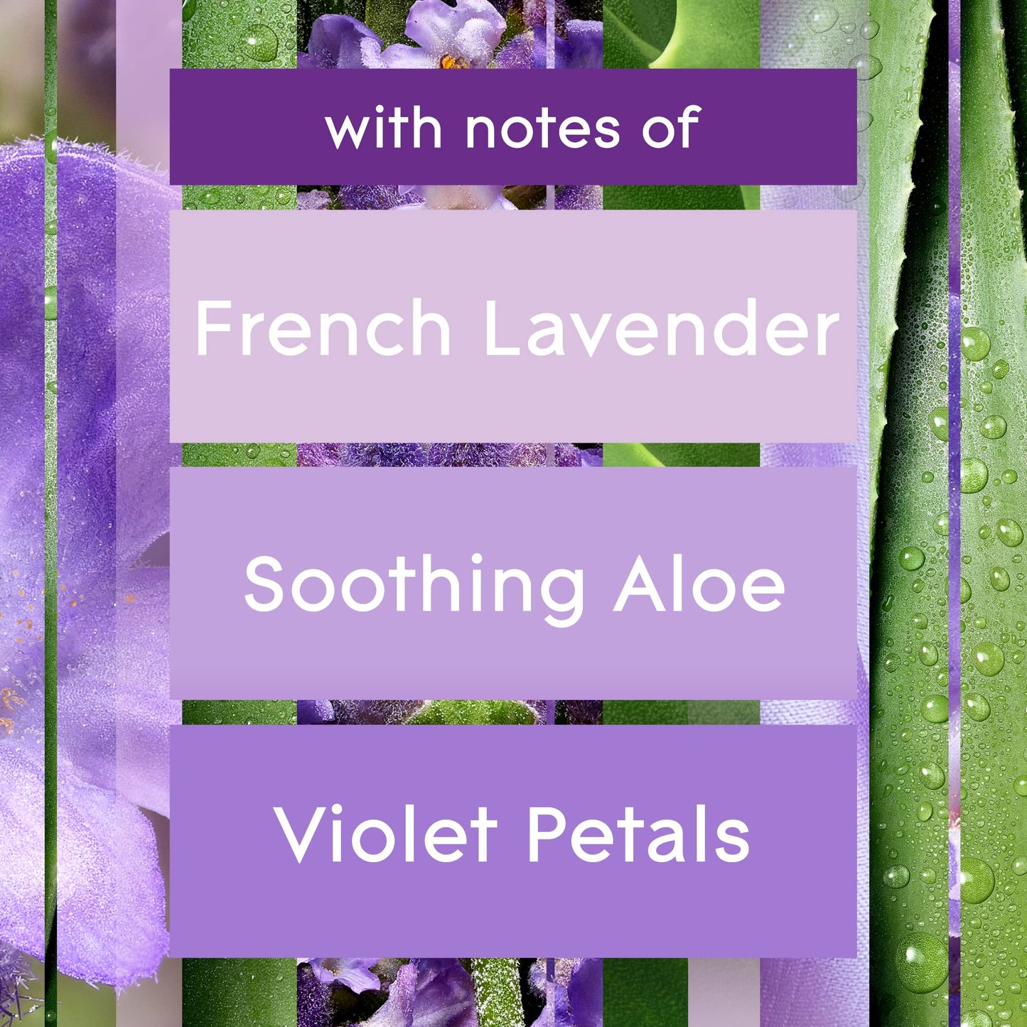 Glade Plugins Refills Air Freshener, Scented And Essential Oils For Home And Bathroom, Tranquil Lavender & Aloe, 1.34 Oz, 12 Cou