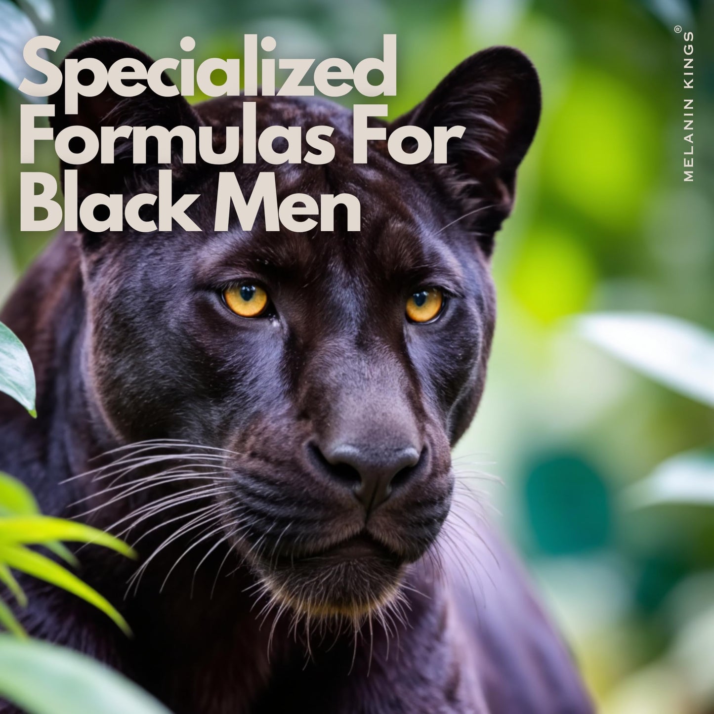 Melanin Kings Beard Wash & Conditioner Set for Black Men - Gently Cleanse, Hydrate & Soften Coarse, Dry and Curly Beards - Afric