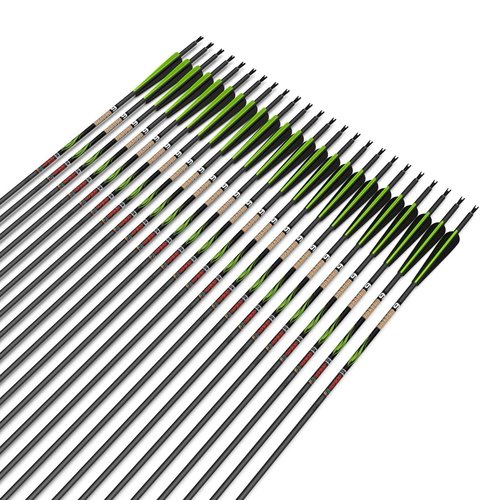 sanlida 24 PCs, 100% Pure Carbon, 0.003'' Straightness, Dragon 9 Flagship 24T Carbon Hunting Arrows for Compound Bow, Professional Standard Hunting Arrows with Removable Tips (290 Spine)