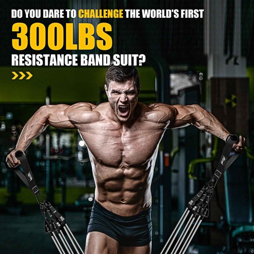 HPYGN Resistance Bands for Working Out, 360lbs Heavy Duty Resistance Bands with Handles, Fitness Band, Workout Bands Men, Weight Bands Set for Muscle Training, Strength, Slim, Yoga, Home Gym Equipment