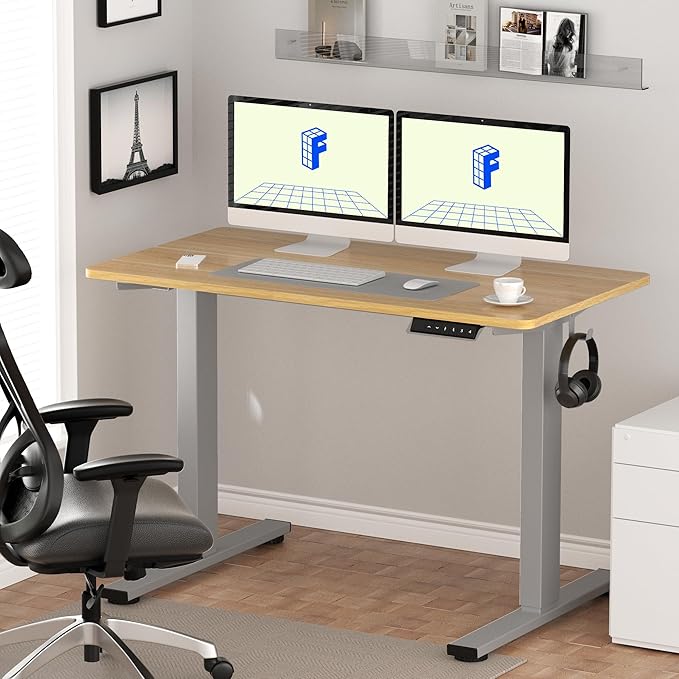 FLEXISPOT EN1 One-Piece Electric Standing Desk, 55 x 28 inch Stand Up Desk for Home Office (Silver Frame + 55" Natural Top, 2 Packages)