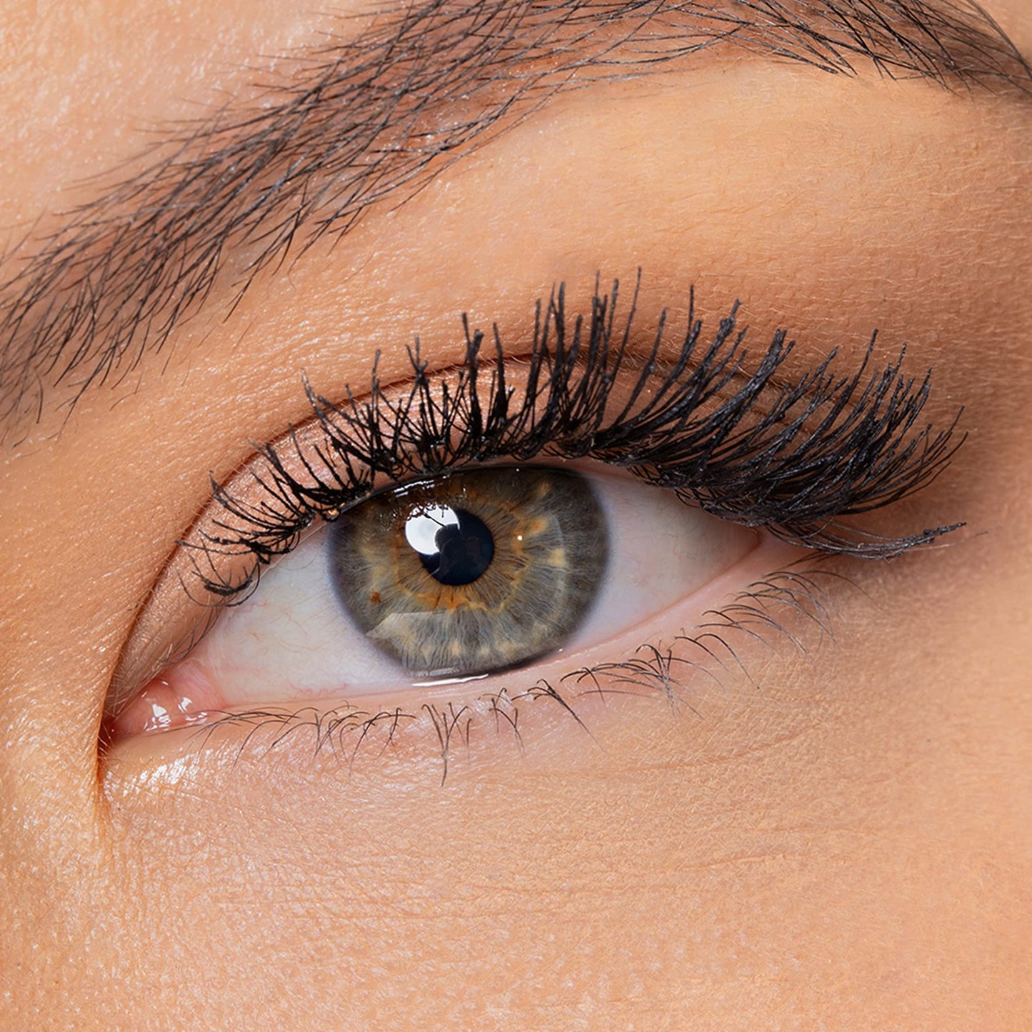 wet n wild Max Volume Plus Waterproof Mascara - Amp'd Black