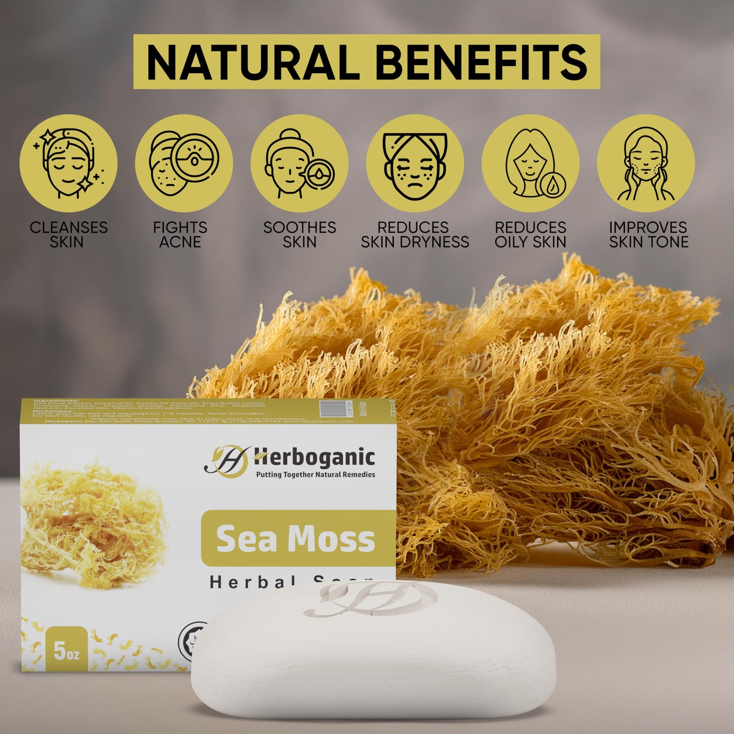 HERBOGANIC Sea Moss Herbal Soap | Pack of 3 of 5oz soap Bar | Natural Bar Soap for Face and Body | Hydrating and Nourishing | Su