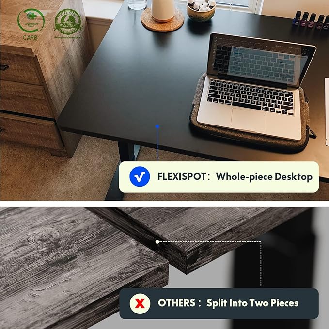 FLEXISPOT EN1 One-Piece Standing Desk 48 x 24 Inches Electric Stand Up Desk for Home Office (Black Frame + 48" Black Top)