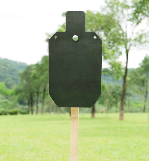ECCEPOPU Steel Targets for Shooting, Rifle Rated AR500 Steel Gong Silhouette Metal Target for Precision Shooting