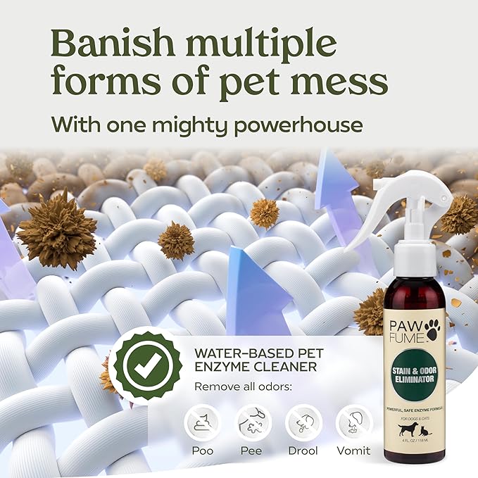 PAWFUME Stain & Pet Urine Odor Eliminator, 2-Pack – Removes Impurities in Seconds – Enzymatic Formula, Quick-Dry Action, & Eco-Friendly Ingredients – Upholstery, Fabrics, and Carpet Cleaner Spray