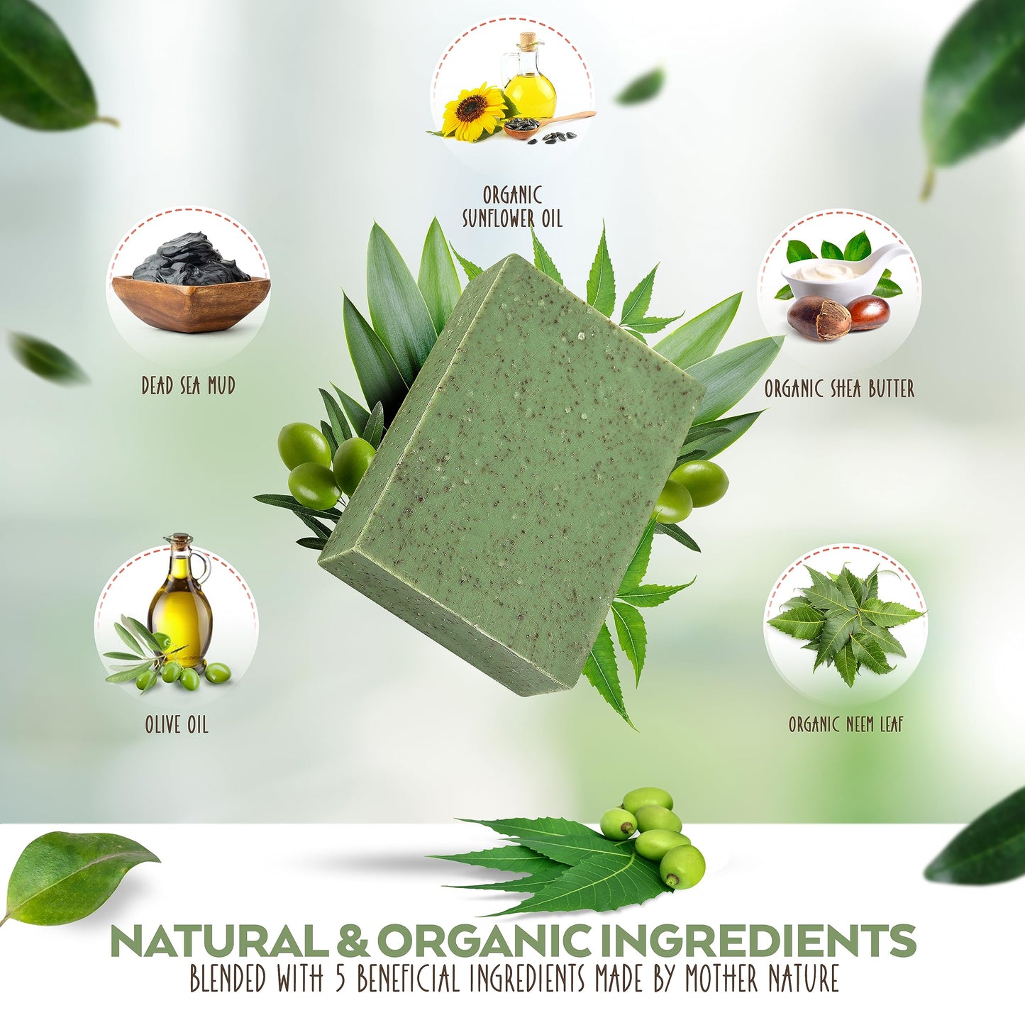 Aspen Kay Naturals Dead Sea Mud and Neem Soap - With Organic Shea Butter & Olive Oil. A Wonderful Neem Face Wash for all Skin Ty