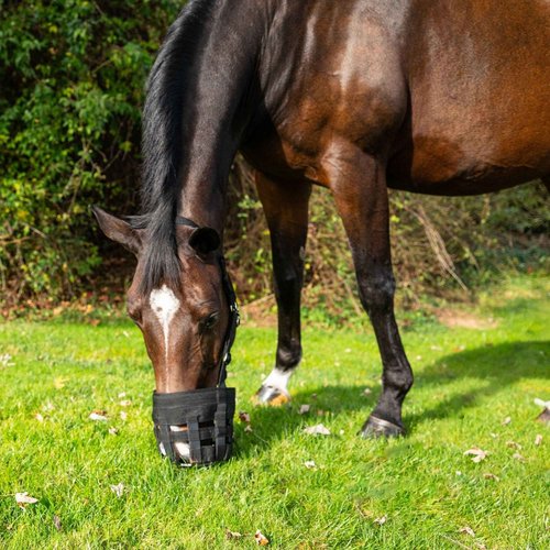 Best Friend Deluxe Grazing Muzzle with Attached Halter for Horses - Ventilated Neoprene, Padded Noseband, Breakaway Design, Lightweight Food Intake Control, Large Horse