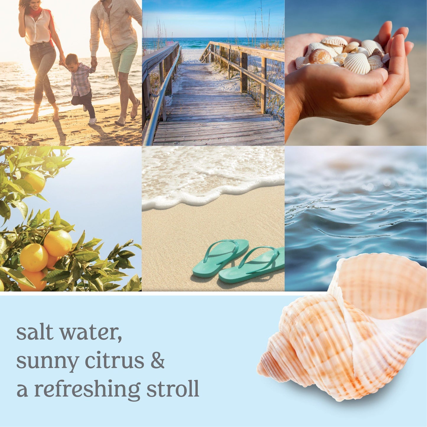 Yankee Candle Beach Walk Scentplug Refills (Pack Of 4)