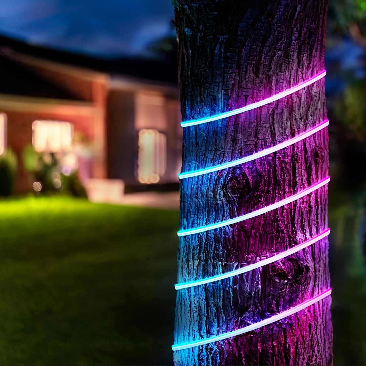 Feit Electric Smart LED Neon Flex Strip Lights, 10FT, Bendable, RGBW Color Chasing, Dimmable, 2.4Ghz WiFi Enabled, Compatible with Alexa and Google Home Asst, Music Sync, Remote App, NF10/CHASE/WP/AG