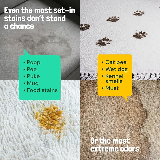 Sunny & Honey Carpet Cleaner Spray - 32 Fl Oz, Spring Mint - 40% More Enzymes & Carpet Stain Remover - Pet Urine Enzyme Cleaner & Floor Deodorizer - Pet & Kid Safe Rug Cleaner