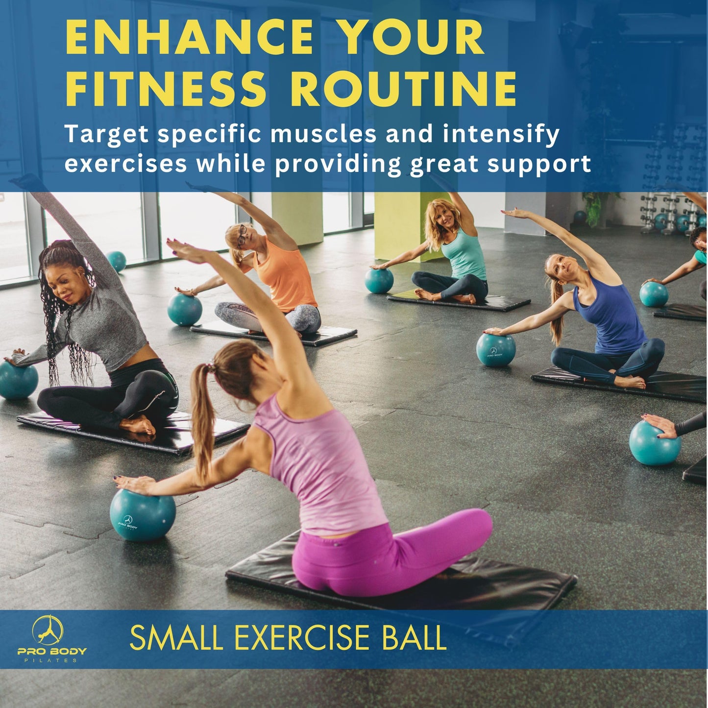 ProBody Pilates Small Exercise Ball - 9 Inch Workout Ball for Stability, Barre, Yoga, Core & Physical Therapy, Home Gym & Office Use (Silver)