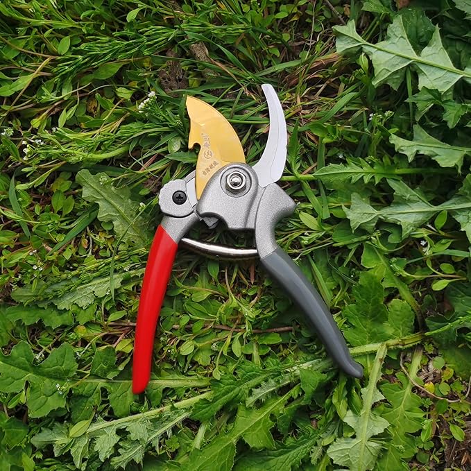 Pruning Shears for Gardening, Garden Scissors and Clippers, Professional Branch Garden Secateurs (Red-grey)