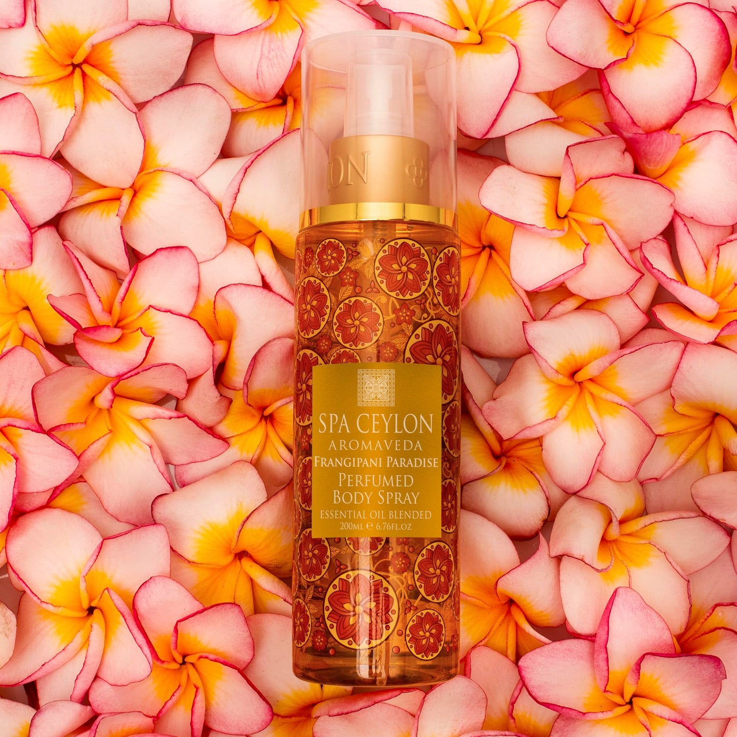 SPA CEYLON Island Rose Body Spray | Floral Aromatic Fragrance Mist for Women |Refreshing Body Spray Perfume with Rose Geranium O
