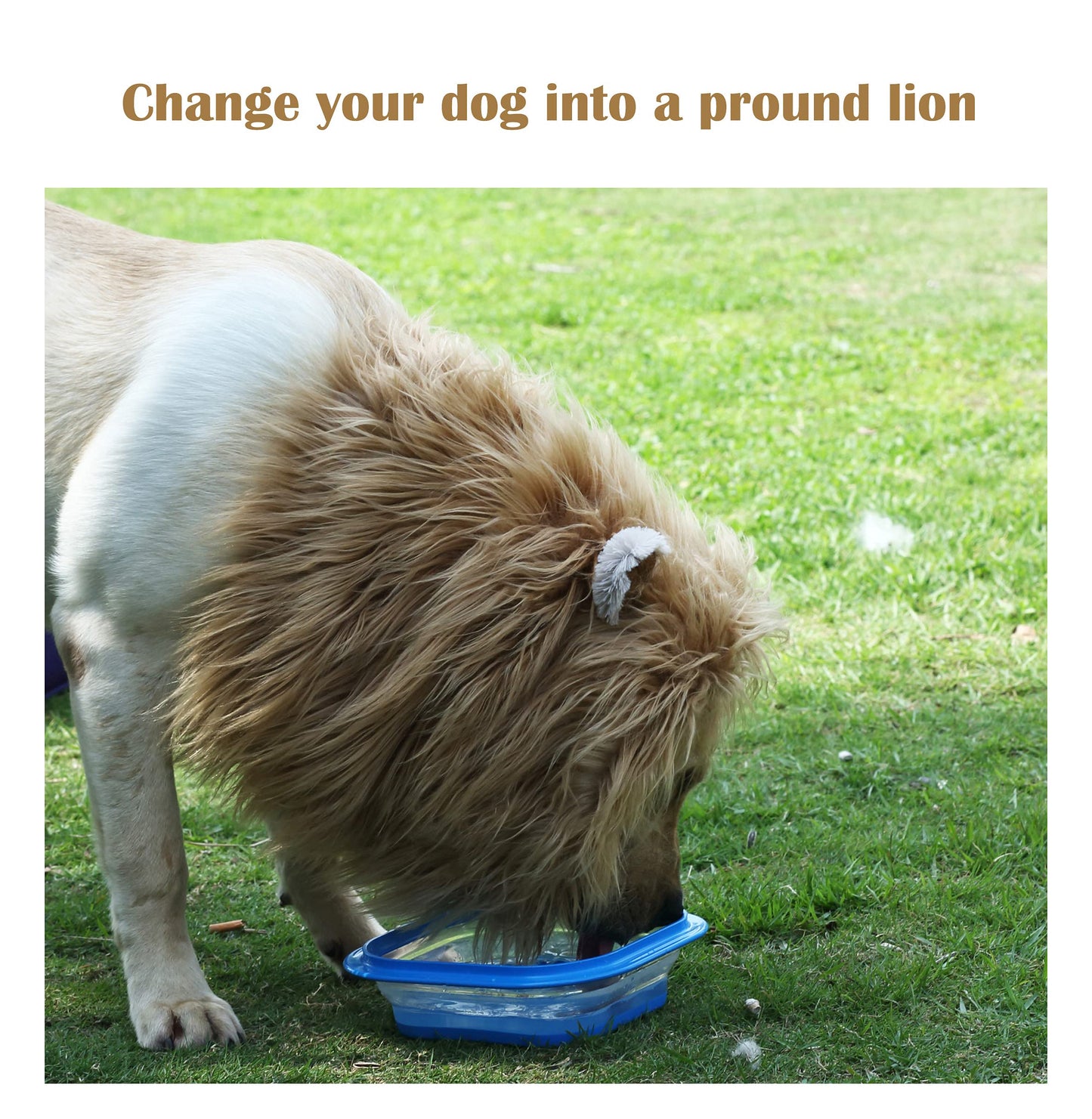 Onmygogo Lion Mane Wig for Dogs with Ears, Funny Pet Costumes for Halloween Christmas (Size L, Yellow)
