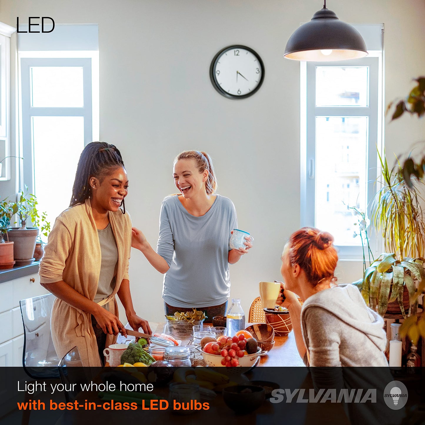 LEDVANCE Sylvania LED A19 Light Bulb, 60W Equivalent, Efficient 8.5W, 10 Year, 2700K, 800 Lumens, Frosted, Soft White (74765), Packaging May Vary (Pack of 1, 24 Count Total)