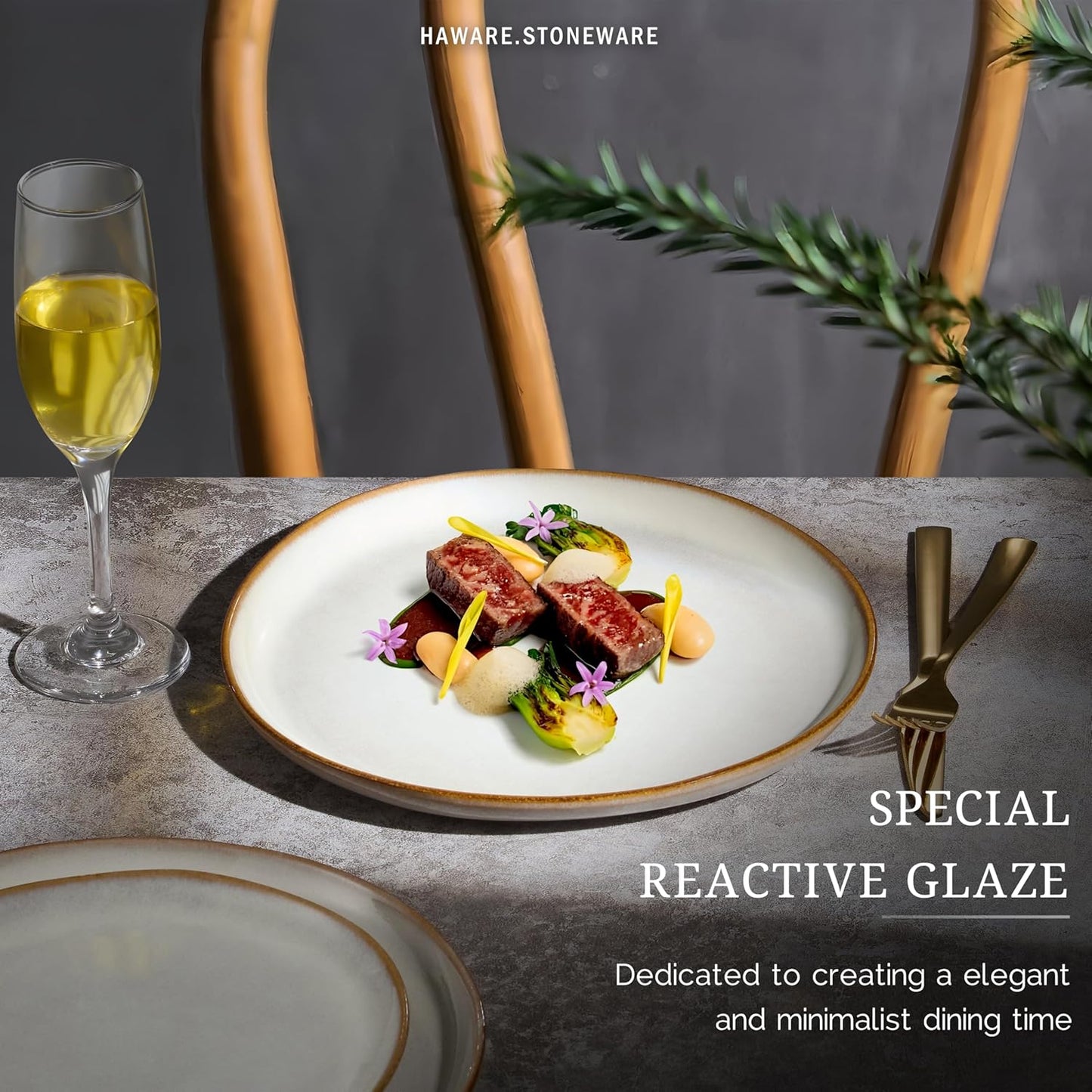 HaWare Stoneware Dinner Plates Set of 6, 10" Heavy Duty Ceramic Plates, Reactive Glaze Dinnerware for Home Restaurant, Chip and Scratch Resistant, Microwave and Dishwasher Safe, Reactive Pearl White