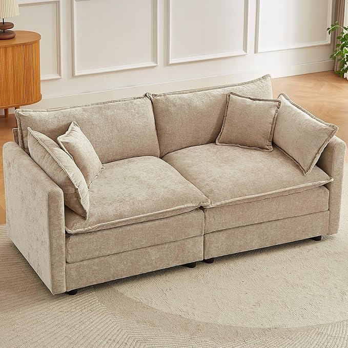 saows Modular Sectional Sofa, 77 Inch Rectangle Shaped Couch Set, 2-Seater Comfy Cloud Couches for Living Room Apartment, Coffee
