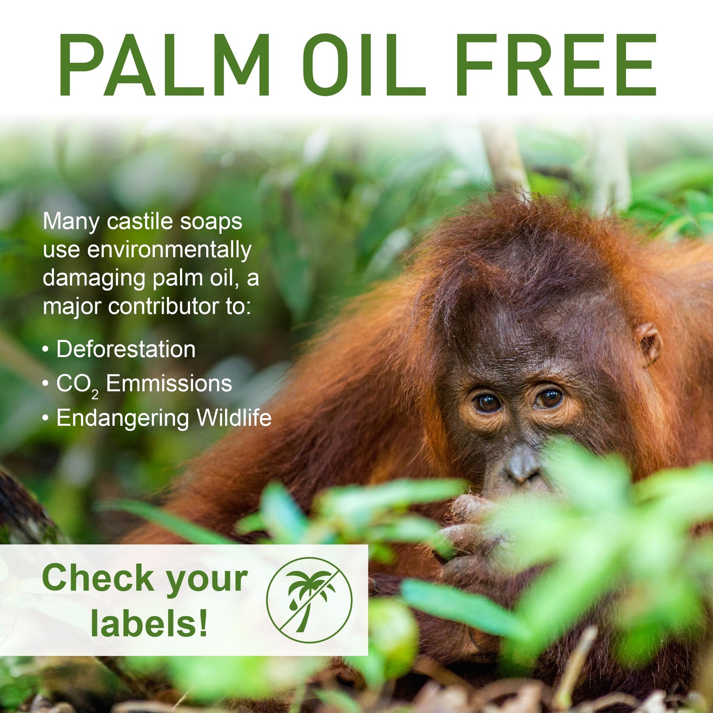 Pure Castile Soap - No Palm Oil, GMO-Free - Gentle Liquid Soap For Sensitive Skin & Baby Wash - All Natural Vegan Formula with O