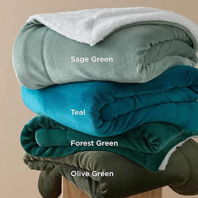 Bedsure GentleSoft Sherpa Fleece Blankets Queen Size for Bed - Thick and Warm Throw for Women and Men, Soft Fuzzy Plush Queen Blanket for Winter, Non-Heated, Sage Green, 90x90 Inches