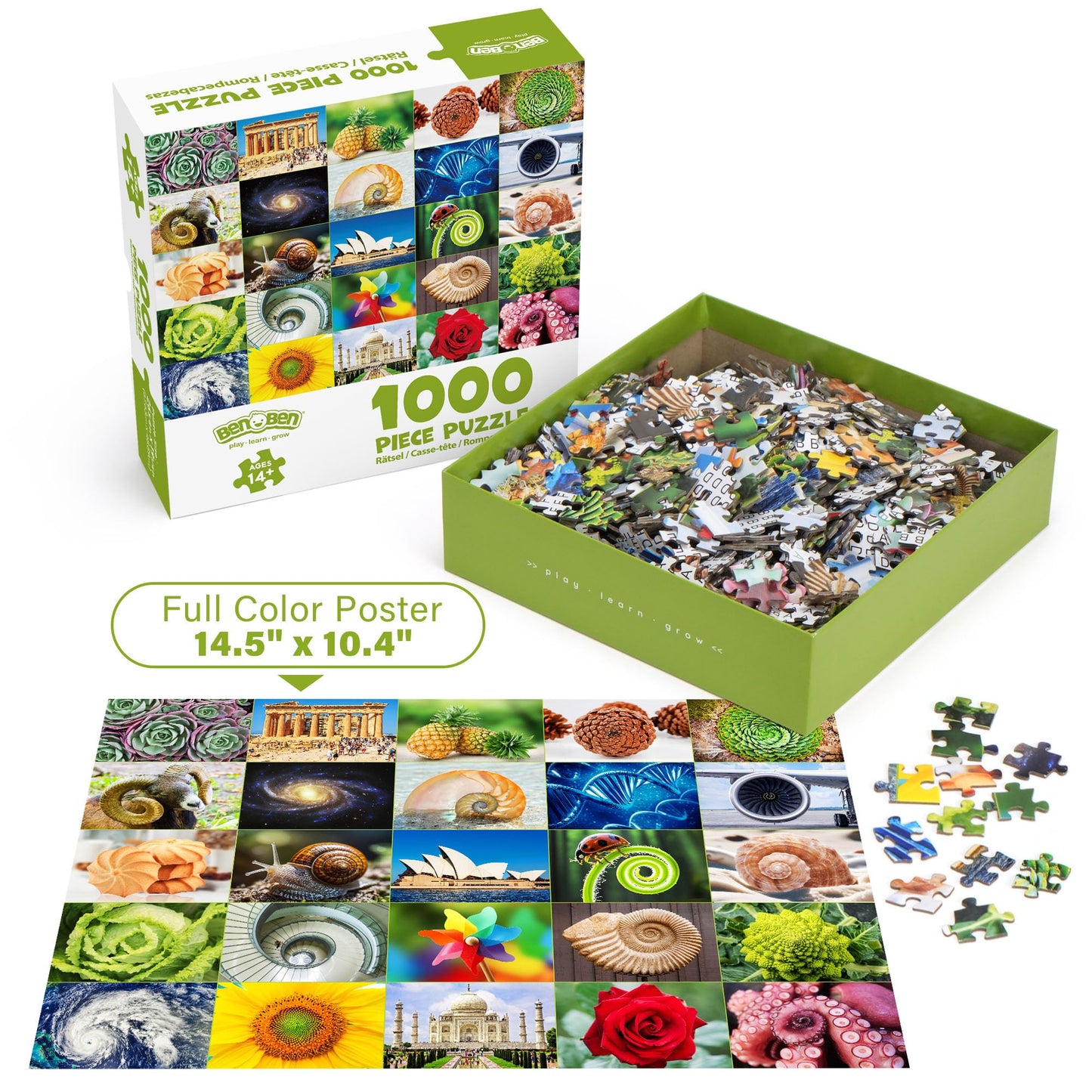 BenBen 1000 Piece Puzzle for Adults, 25 Fibonacci Spirals in Nature, Jigsaw Puzzles with Letters on Back, Challenging Puzzle for Game Night Home Décor
