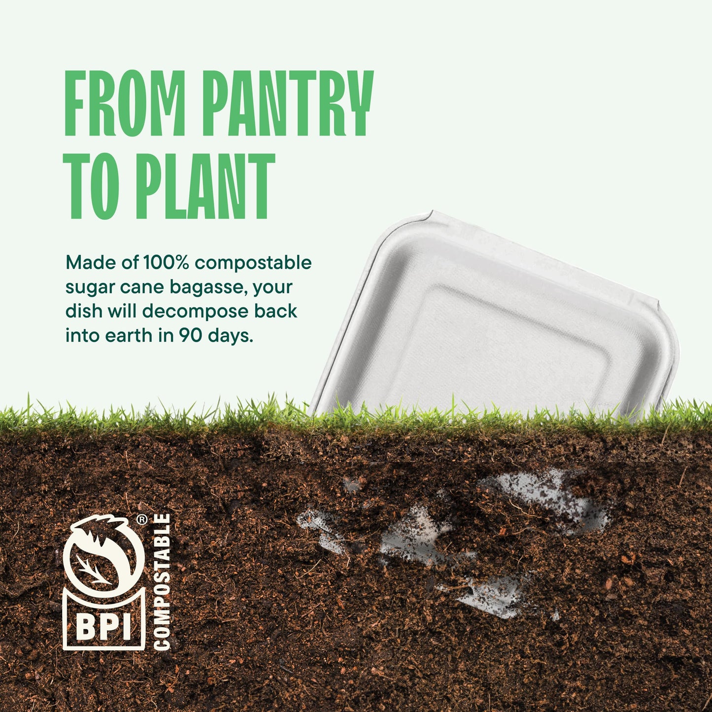 100% Compostable Clamshell Take Out Food Containers [8X8" 50-Pack] Heavy-Duty Quality to go Containers, Natural Disposable Bagasse, Eco-Friendly Biodegradable Made of Sugar Cane Fibers