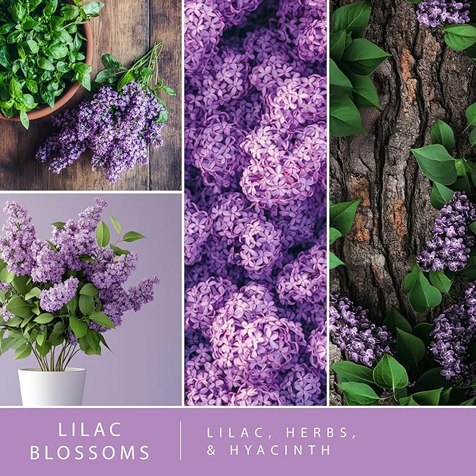 Scentsationals Fragrance Oil Plug In Air Freshener Refills 3-Pack - Lilac Blossoms - Works with Scentsationals Wall Plugs, Long-Lasting Home Fragrance, 0.8 fl oz Each, Packaging May Vary