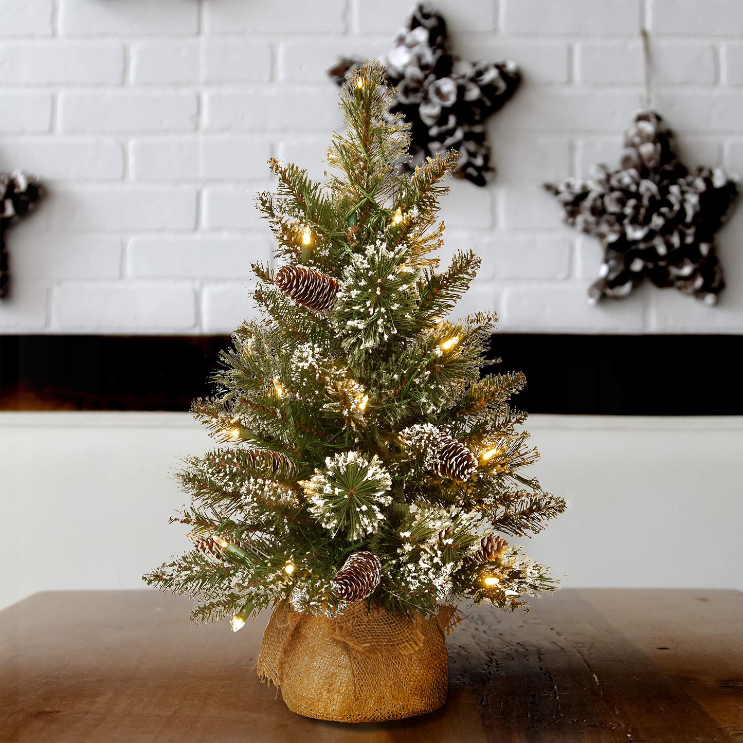 National Tree Company Pre-lit Artificial Mini Christmas Tree - Includes Small White LED Lights, White Tipped Cones, Glitter Branches Pine Cones and Cloth Bag Base - Glittery Bristle Pine - 2 ft