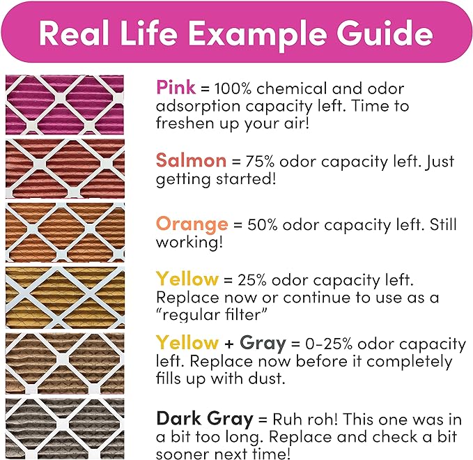 Colorfil 20x20x1 Air Filter (2-Pack) | Made in the USA | Color Changing | Remove Cat and Dog Odor | MERV 8 for Pet Hair Dander and Dust | 19.5"x19.5"x0.75" Exact Size