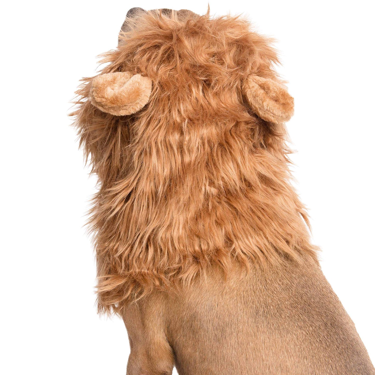 Pet Krewe Lion Mane for Dog -Lion Mane Dog Costume by Pet Krewe