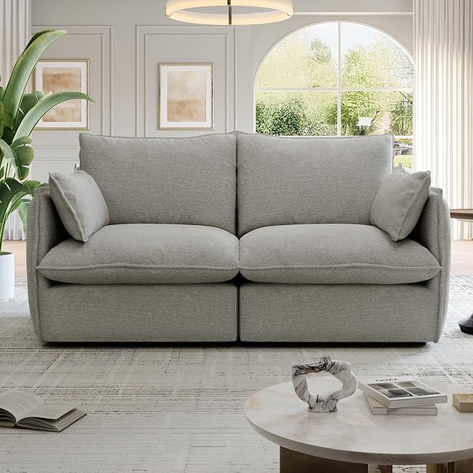 Lopzeho Cloud Modular Sectional Sofa, Waterproof Down Filled Sectional Sofa, High Backrest Loveseat Sectional Couches for Living Room, Modern Modular Couch with Removable Cover, Light Gray