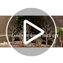 EAMBRITE Home Decorations Light Up White Birch Tree Indoor Christmas Decor, 4 Pack Battery Operated/USB Lighted Tabletop M...