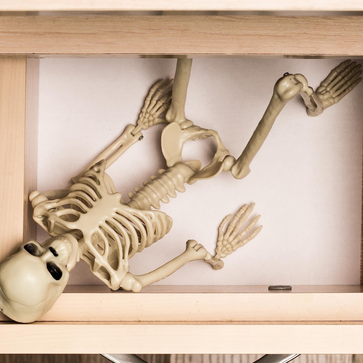 Daricano Halloween Decoration Outdoor Skeleton, 16" Plastic Posable Skeleton with Movable Joints, Small Hanging Skeletons for Halloween Decor, Haunted House Graveyard Props