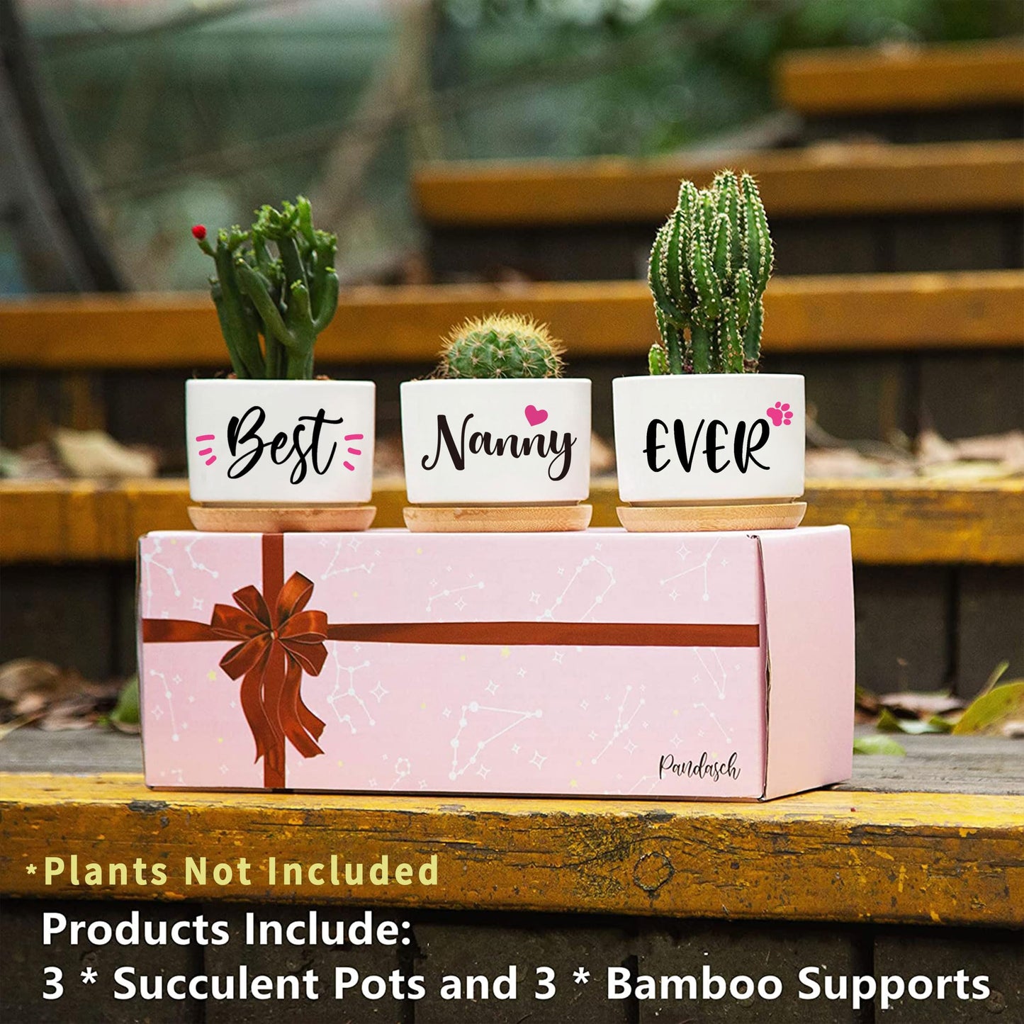 AceThrills Nanny Gifts for Birthday, for Nanny from Grandkids, Unique Present on Thanksgiving Christmas - 3 Pcs 3.15" Succulent Pots with Bamboo Tray