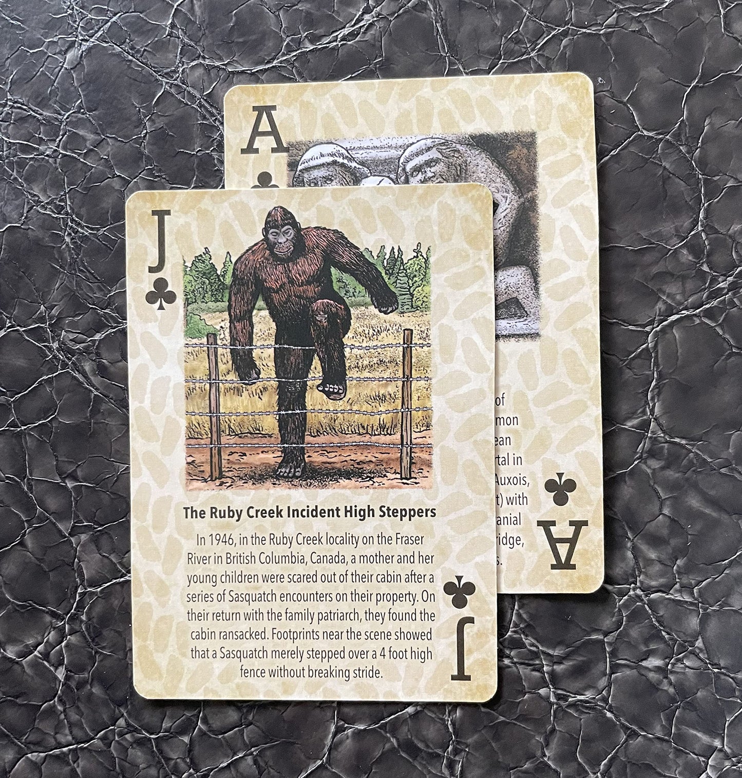Paradise Cay Publications, Inc. Squatch METALWORKS Bigfoot Playing Cards - Standard 52 Card Deck - Unique and Fun Playing Cards with Illustrations and Facts - Perfect for Sasquatch Enthusiasts