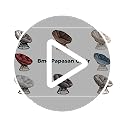 Bme 40" Ergonomic Wicker Papasan Chair with Soft Thick Density Fabric Cushion, High Capacity Steel Frame, 360 Degree Swive...