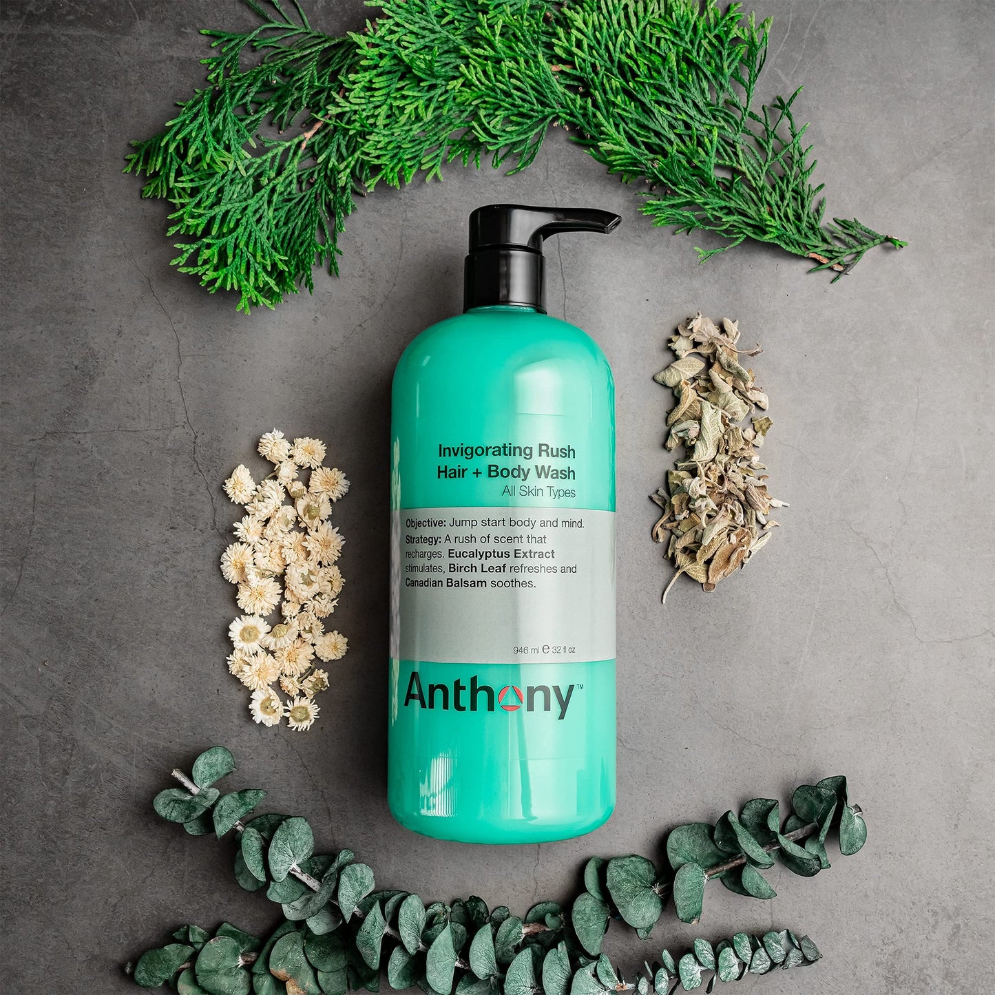 Anthony Mens Body Wash and Shampoo: Invigorating Rush 2-In-1 Liquid Gel Soap & Hair Shampoo, Pine Wood Scent, Hydrating with Euc